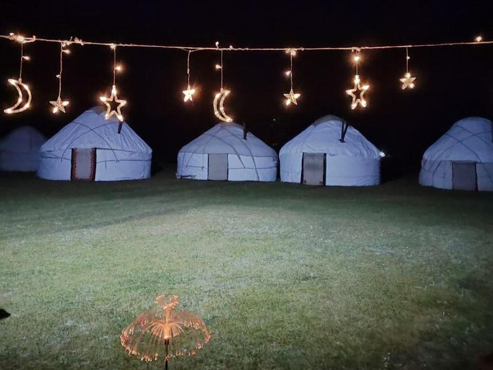 Zalkar Yurt Camp Otel Song-Kul Dış mekan fotoğraf