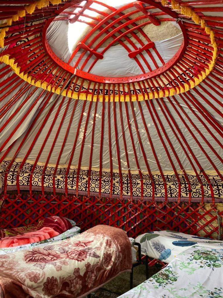 Zalkar Yurt Camp Otel Song-Kul Dış mekan fotoğraf